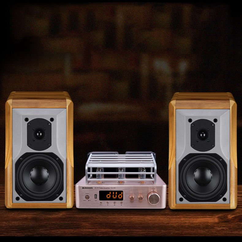 Integrated Stereo Hybrid Vacuum Tube Audio Amplifier With Subwoofer Output MIC Output